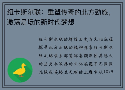 纽卡斯尔联：重塑传奇的北方劲旅，激荡足坛的新时代梦想