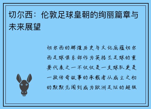 切尔西：伦敦足球皇朝的绚丽篇章与未来展望